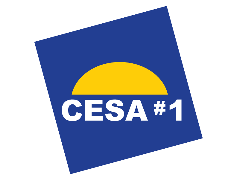 cesa_logo_rev-border.png